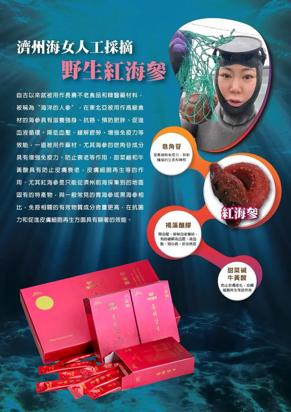 JEJUWELLING韓國濟州島紅海參修復飲